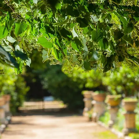 Masseria Della Quercia * Спонгано